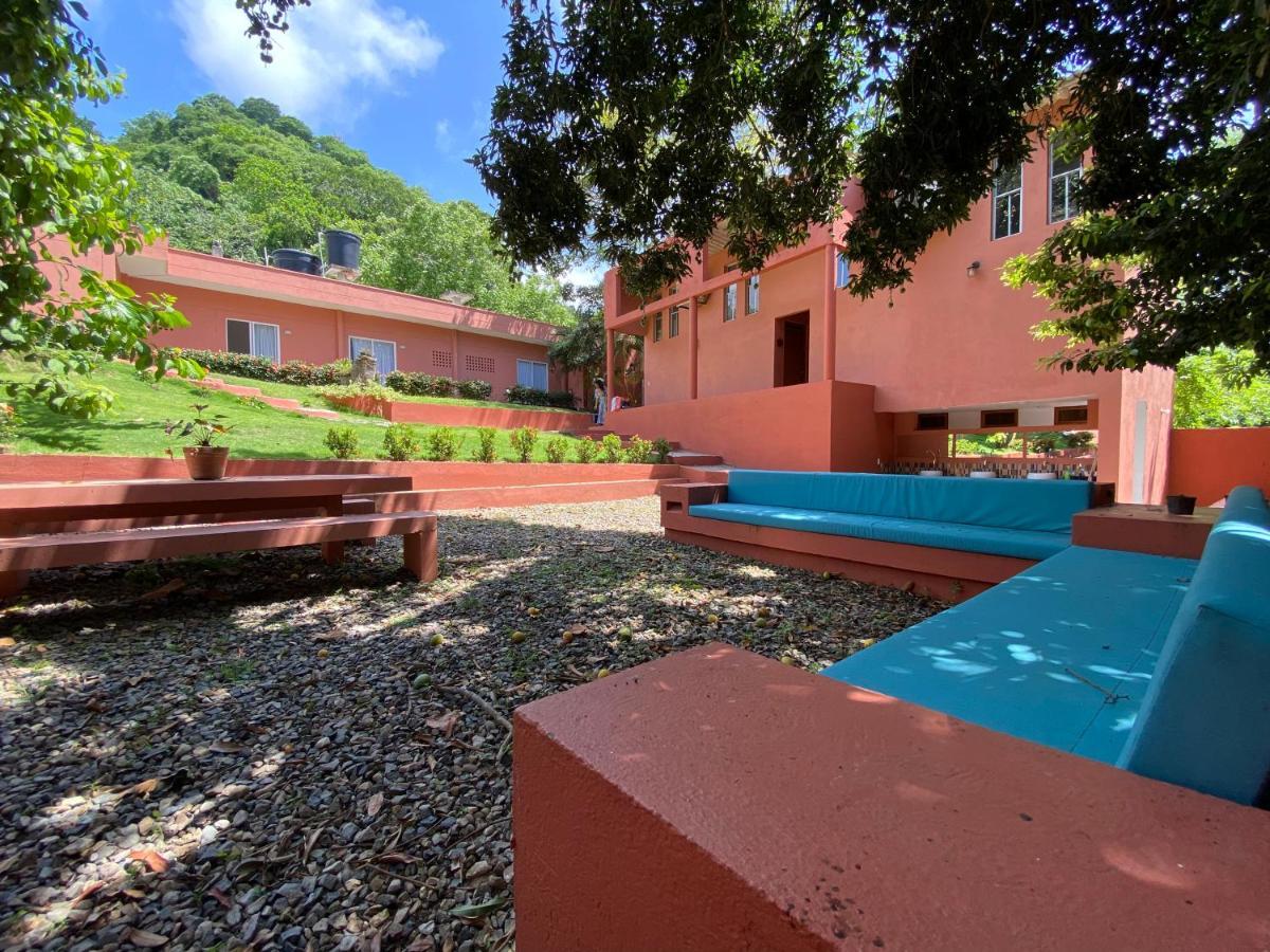 Color Hostel Palomino Exteriér fotografie